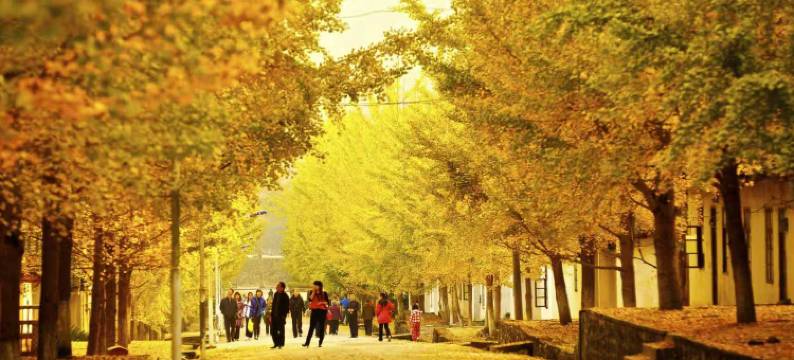 锦江之星酒店(韶关南雄时代广场店)图片