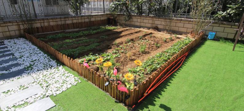 隔壁老王的民宿图片