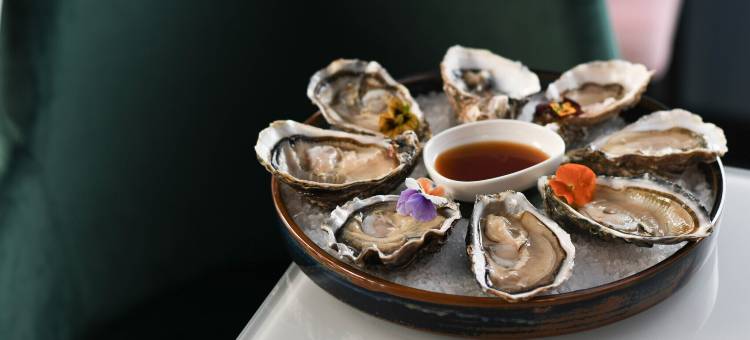 席纳德拉威乐酒店(Sina de La Ville)图片