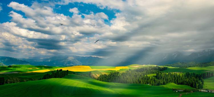 携程度假农庄(那拉提森林公园联营店)图片