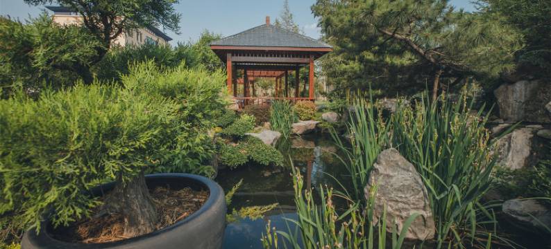 沂源东方书院民宿图片