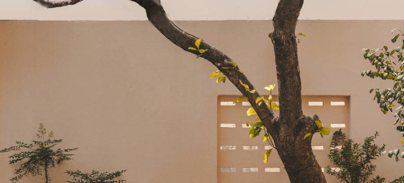 私席・丛庐设计美学酒店STADUSTLAND・COZYNITE(丽江古城大水车店)图片