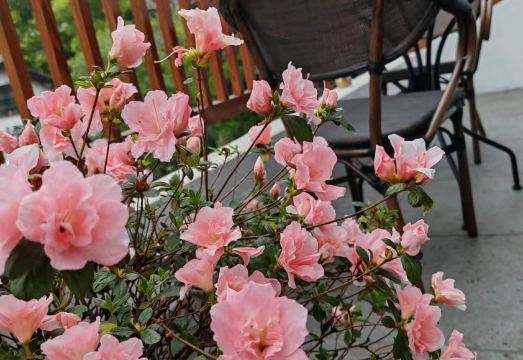 Xihu Qi'an HomestayHotel Overview