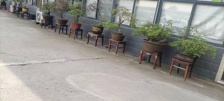 青皮树酒店(舒城桃溪路店)图片