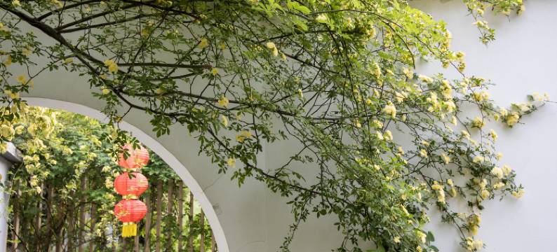 南京汤山温泉半亩私汤民宿(汤家家温泉村店)图片