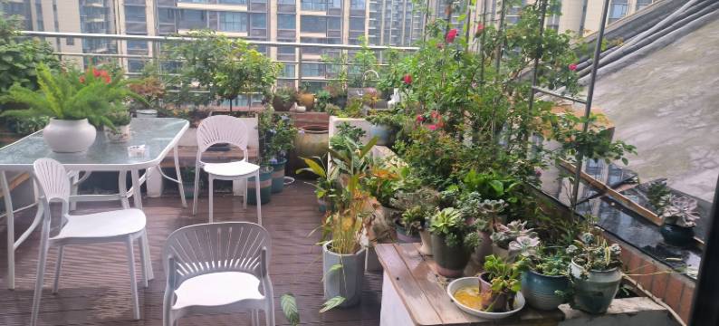 乐山湘悦酒店(高铁站店)图片