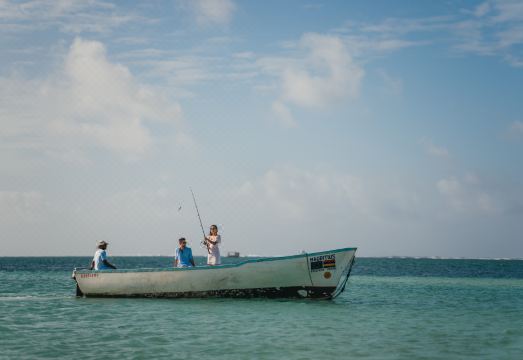 LUX* Belle Mare, Mauritius Hotel Overview