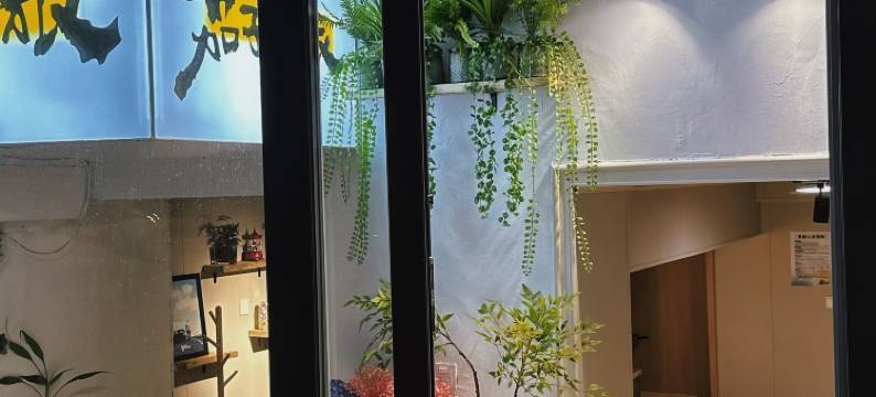 茄子青旅(中央大街店)图片