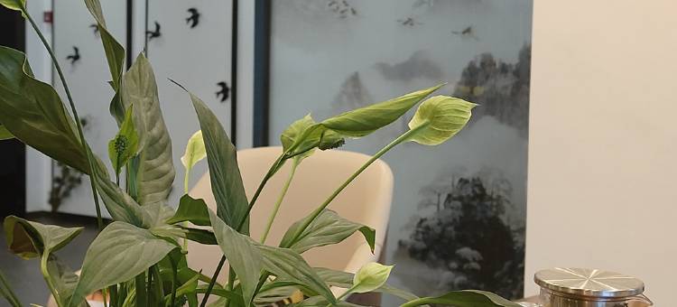 梦达屋酒店(世纪城新会展环球中心店)图片