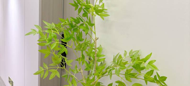 晚风民宿(十字街洛邑古城店)图片