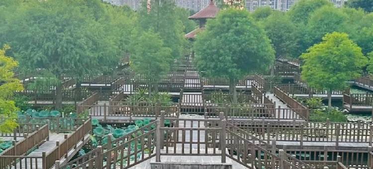 鹭岛情怀民宿(厦门机场五缘湾店)图片
