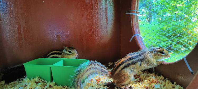 六安曙光铂尊酒店图片