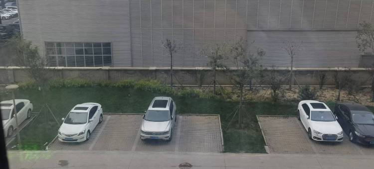 沧州京杭易居民宿(明珠商贸城店)图片