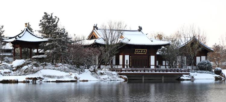 雄安国际酒店图片