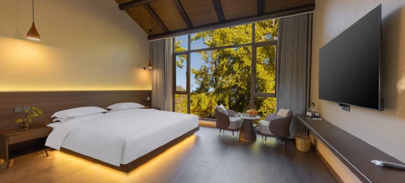 腾冲银杏村泊梦精品民宿图片