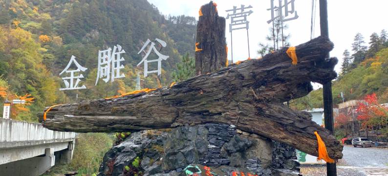 金雕谷民宿图片