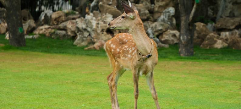 北京达园宾馆图片