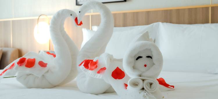 麗枫酒店(大同古城店)图片