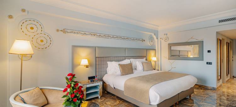 大莫加多尔梅纳拉酒店(Grand Mogador Menara & Spa)图片