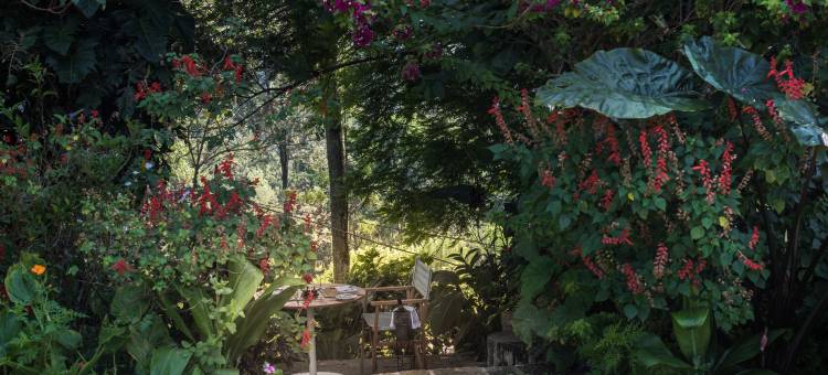 九霄云栖(Nine Skies)图片