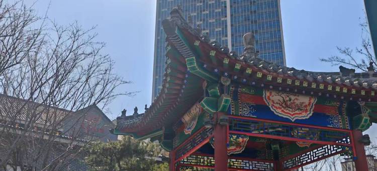 岱宗大观商务酒店(泰安高铁站爱琴海店)图片