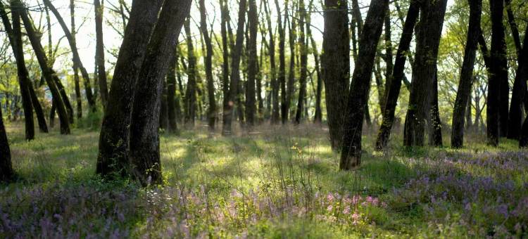 黄山荷田里酒店图片