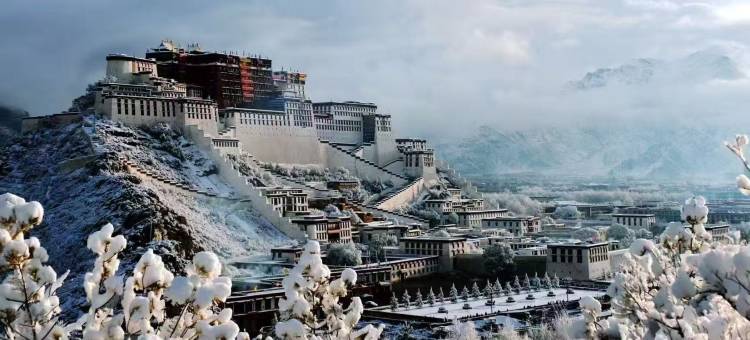 平措觉邓富氧酒店(拉萨市政府万达店)图片