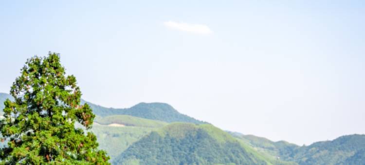 归舍·GUISHE竹海汤屋设计师美宿(安吉江南天池店)图片