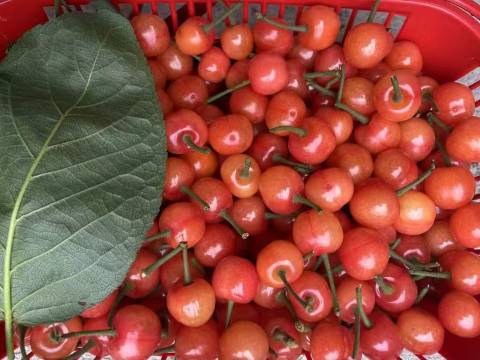 绍兴雪花谷民宿图片
