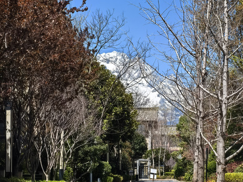 漫鹿云际度假酒店(丽江古城区店)