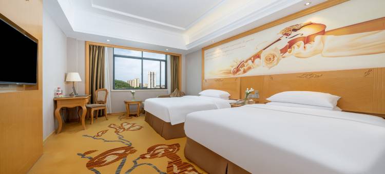 维也纳酒店(防城港防城店)图片