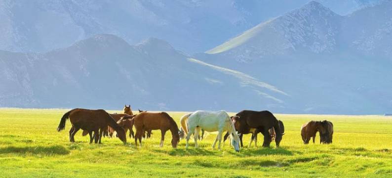 听水湾自驾营地图片