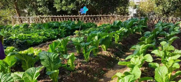 武夷山融景墅酒店(景区南入口店)图片