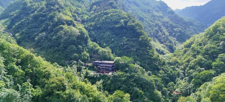 幽道山房·森林秘境民宿(上元古道店)图片