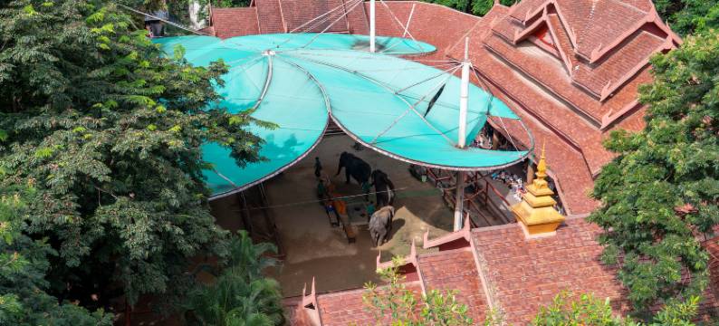 西双版纳景洪吉象花园客栈(曼听公园店)图片