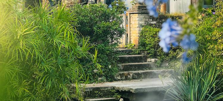 黄山蔓园见山设计师民宿图片