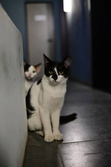 方知·花园酒店(水清沟地铁站店)图片