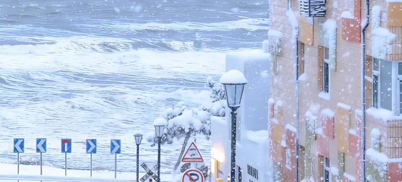铂丽斯国际大酒店(威海高铁站韩乐坊店)图片