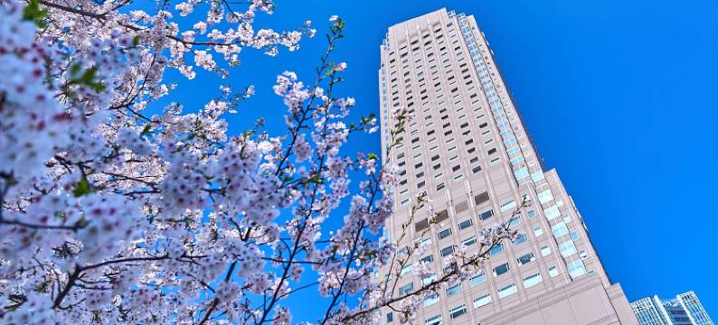 东急涩谷蓝塔大酒店(Cerulean Tower Tokyu Hotel, A Pan Pacific Partner Hotel)图片