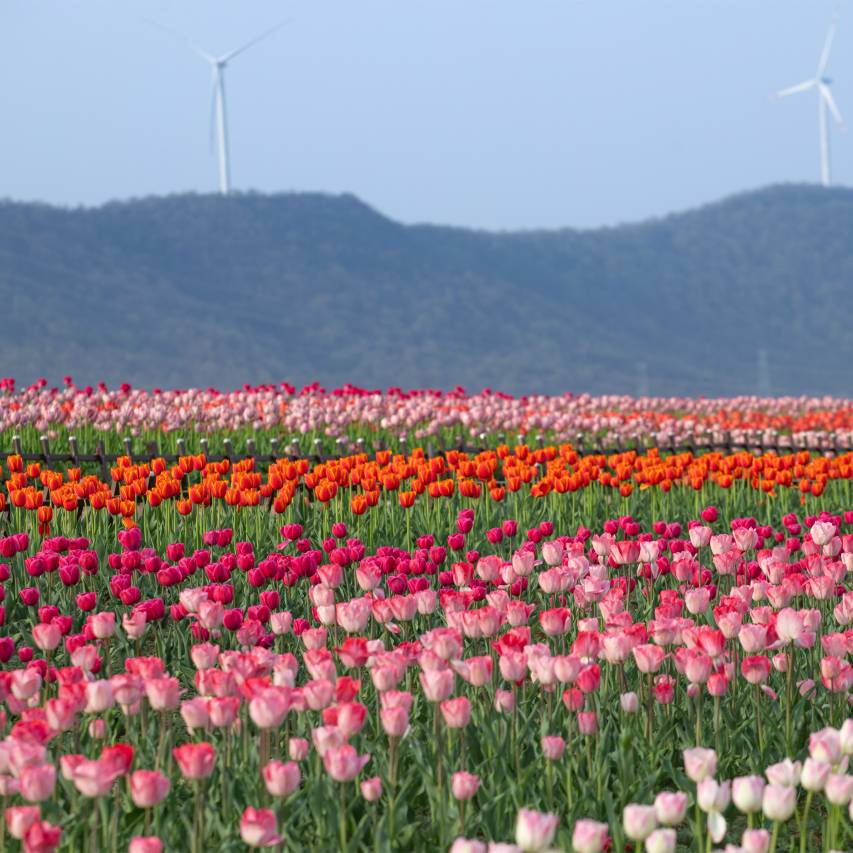 巢湖深业温泉假日度假酒店图片