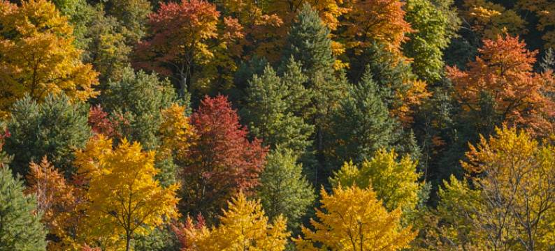石台原生宿集民宿图片