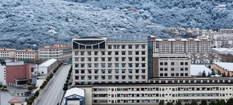 美豪丽致酒店(林芝市政府工布印象店)图片