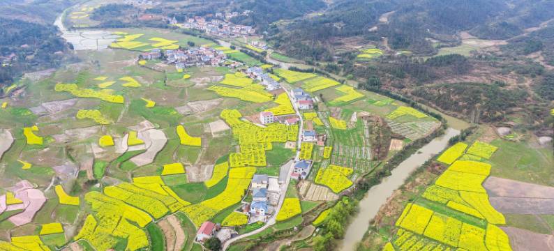 重庆新世界酒店图片