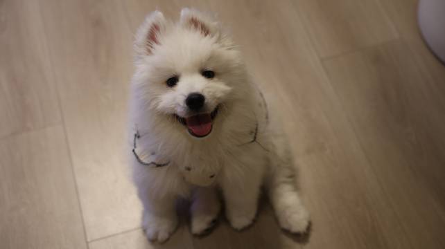 北京西山温泉酒店图片