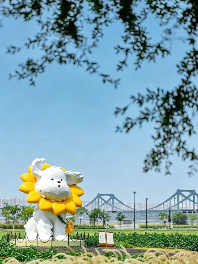 杭州木棉花·凯悦臻选酒店图片