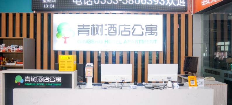 青树酒店公寓(大学城芜湖服务外包产业园店)图片