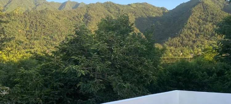 蔡家坡艺术村长之家图片