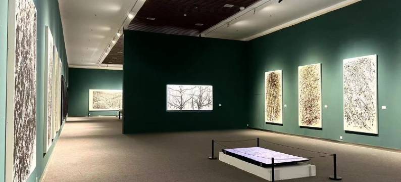 西安水墨长安艺术酒店(崔振宽美术馆店)图片