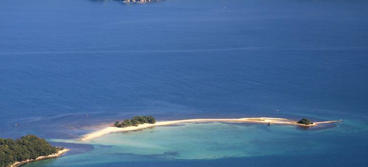 东横INN-敦贺站前(Toyoko Inn Tsuruga Ekimae)图片