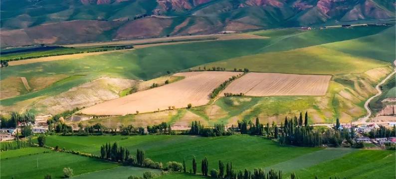 霍城丽湾酒店(清水河店)图片